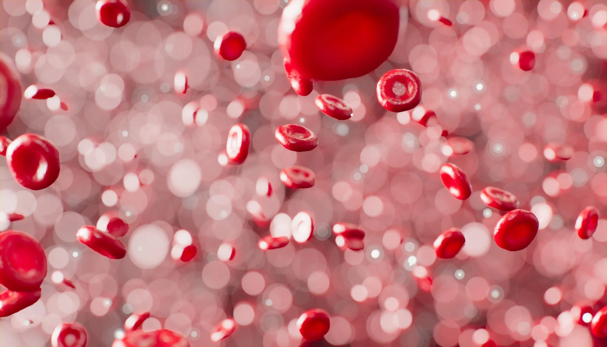So einfach ist Blut spenden - Hintergrundbild